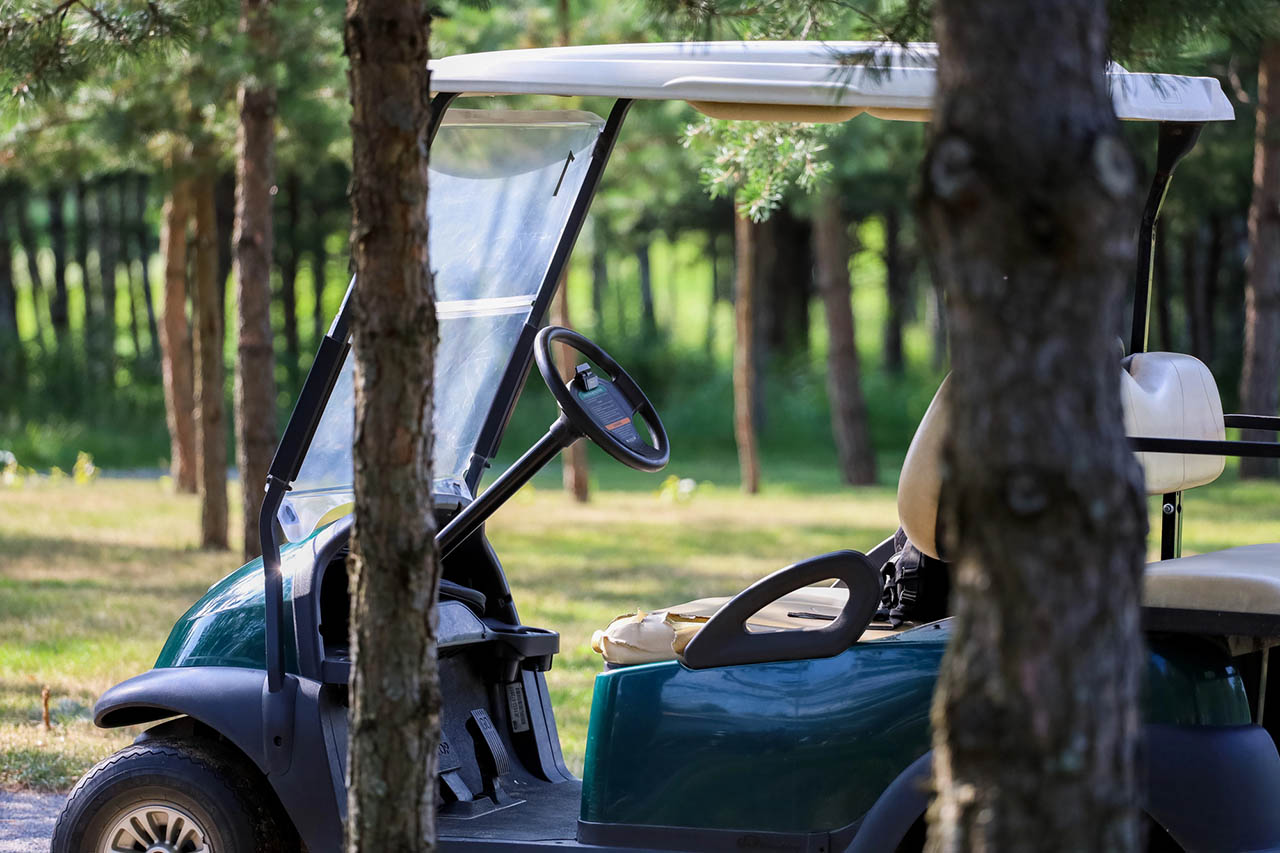 personal golf cart