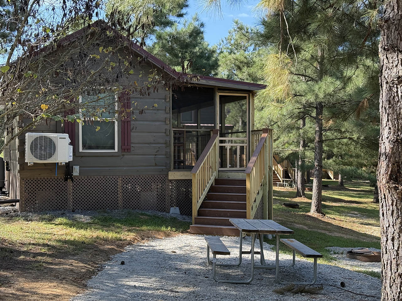 Cabin at Asheboro Jellystone Park surrounded by pine trees