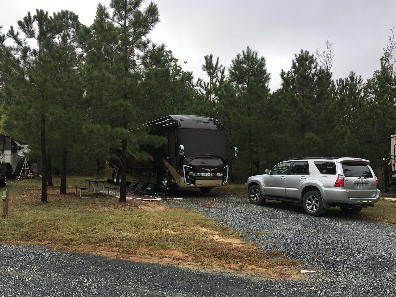 RV campsite among the pine trees at Asheboro Jellystone Park