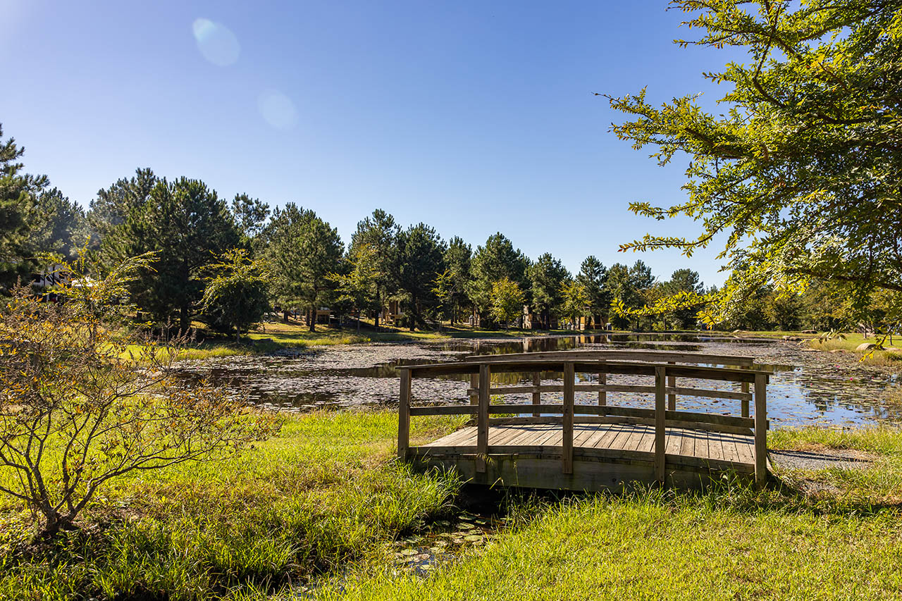 Pond and wooded campground grounds at Asheboro Jellystone Park
